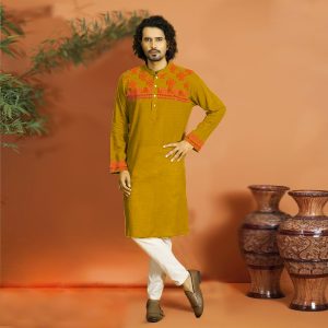 stylish premium quality panjabi
