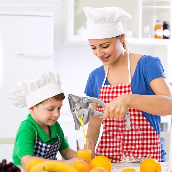 aluminium steel heavy duty handhold press fruit juicer, fruit manual & instant juicer